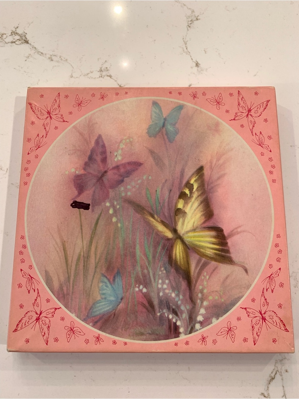 Vintage Stationary Paper Round 8” Butterfly Florals With Envelopes & Box (19)